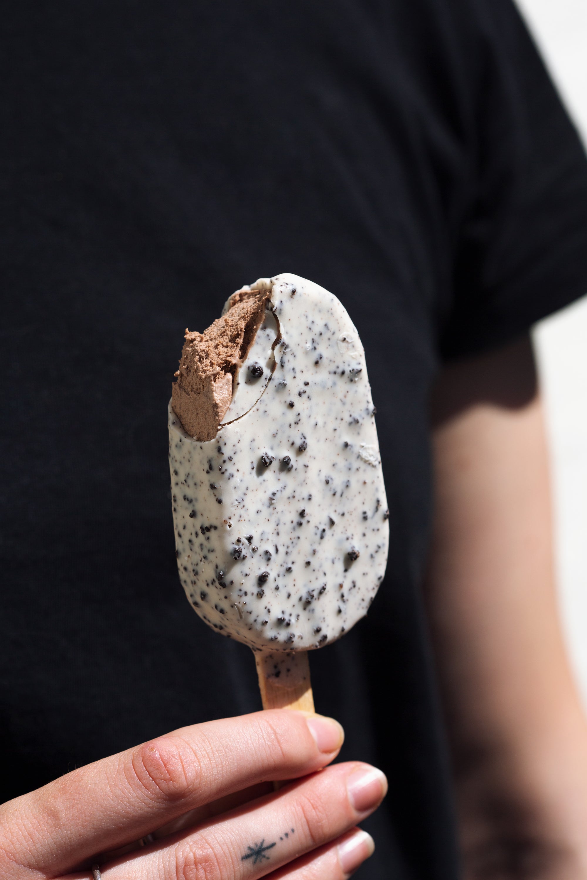 Coco Crunch Frozen Sticks