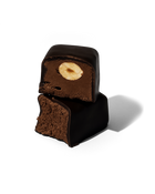 Dark Chocolate Hazelnut Panache - New