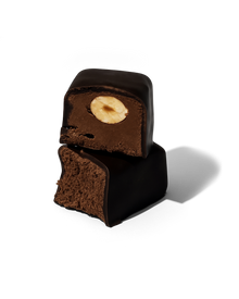 Dark Chocolate Hazelnut Panache - New